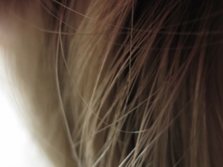 La chute des cheveux