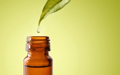 Huile Végétale : comment la choisir ?
