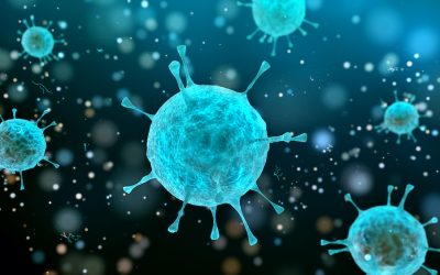 Virus… ou Bactérie ?